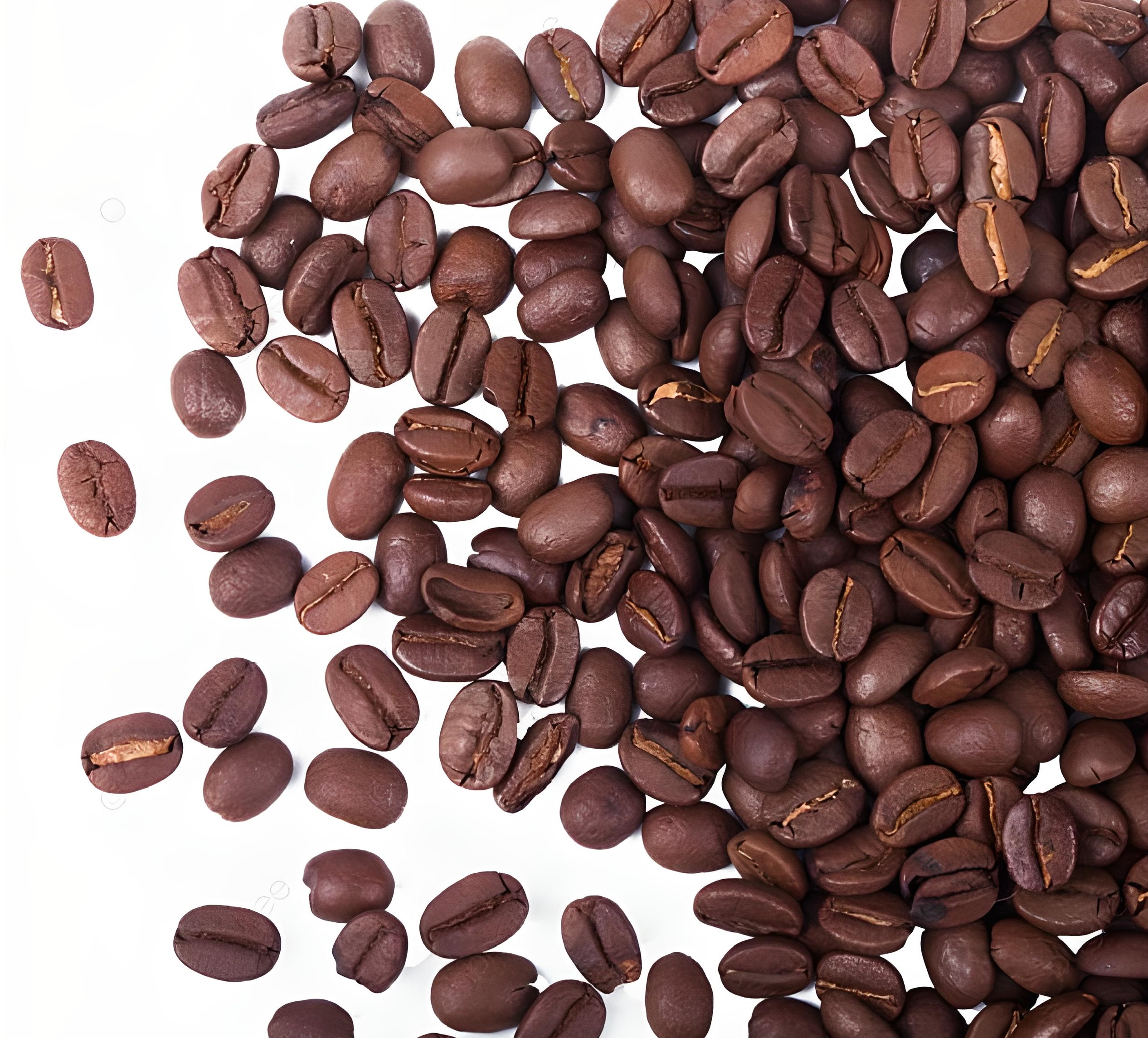 imagem de grãos de café da cafeteria